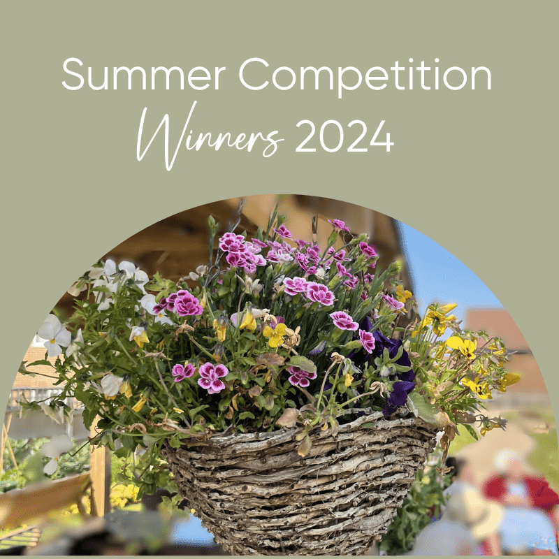 Boutique Care Homes Summer Competition Winners Announced!
